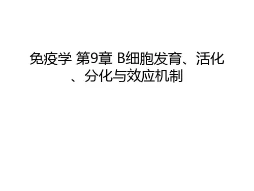 免疫学 第9章 B细胞发育、活化、分化与效应机制教学内容