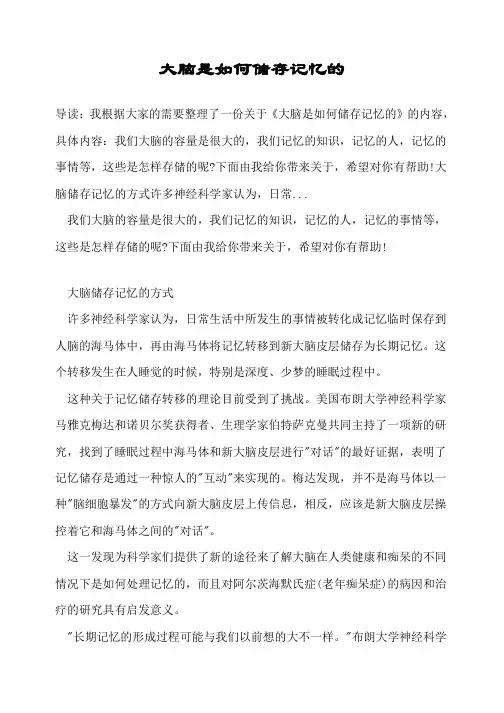 大脑是如何储存记忆的