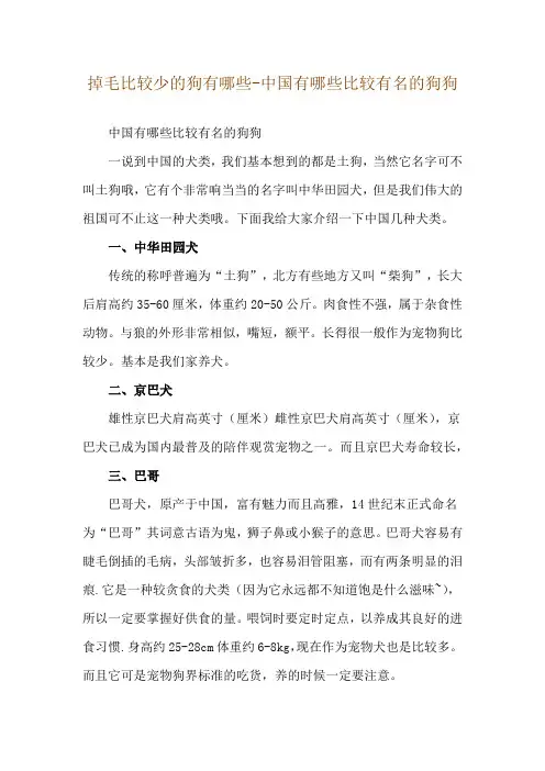 掉毛比较少的狗有哪些-中国有哪些比较有名的狗狗