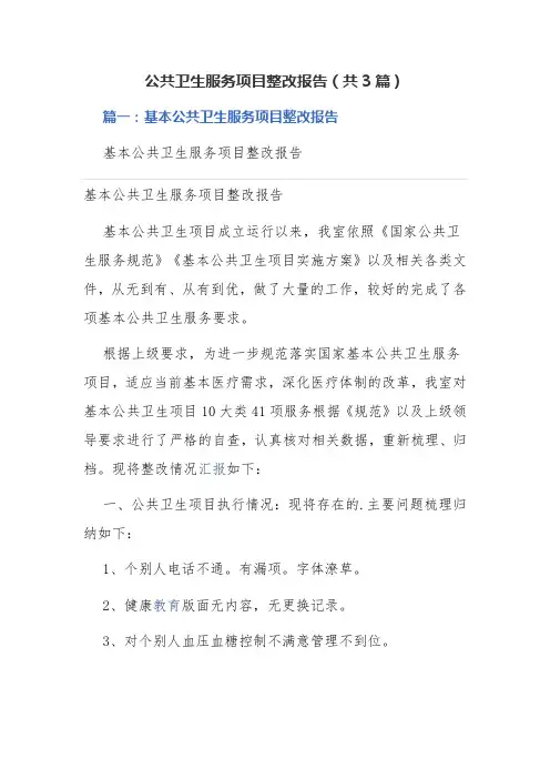 公共卫生服务项目整改报告(共3篇)