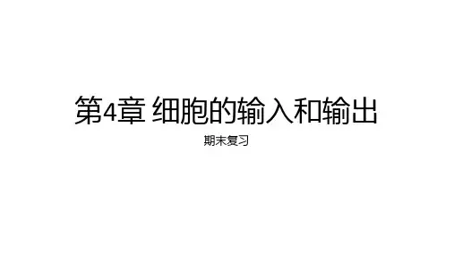 第4章细胞的物质输入和输出课件-高一生物人教版必修1