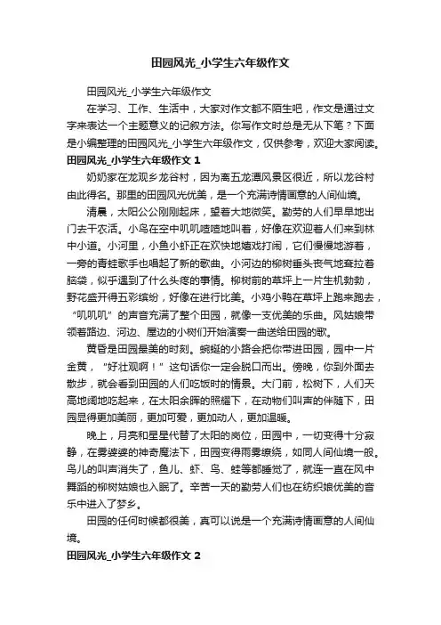 田园风光_小学生六年级作文