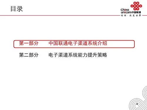 中国联通电子渠道经验交流-16页PPT资料