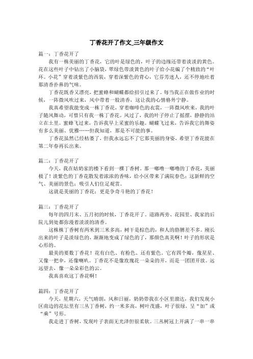 丁香花开了作文_三年级作文