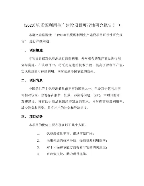 (2023)钒资源利用生产建设项目可行性研究报告(一)