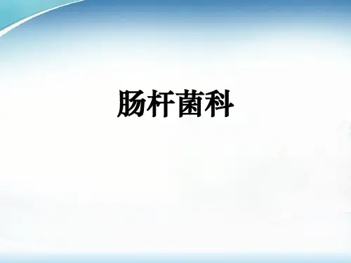 肠杆菌科PPT课件