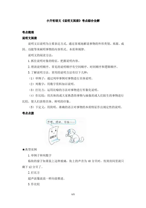 小升初语文《说明文阅读》考点综合全解
