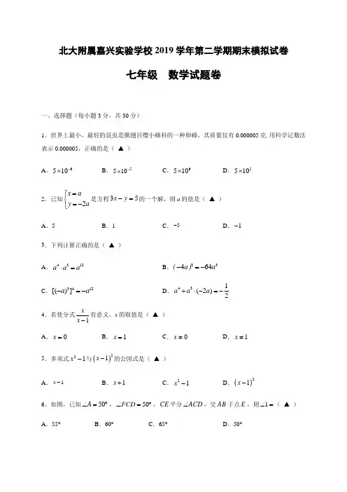 浙江省北大附属嘉兴实验学校2019-2020学年七年级下学期期末模拟检测数学试题