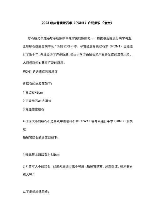 2023经皮肾镜取石术(PCNL)广泛共识(全文)