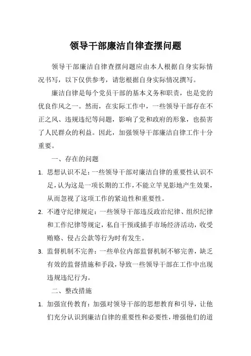领导干部廉洁自律查摆问题