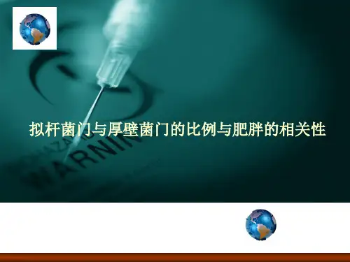 拟杆菌门与厚壁菌门与肥胖的关系
