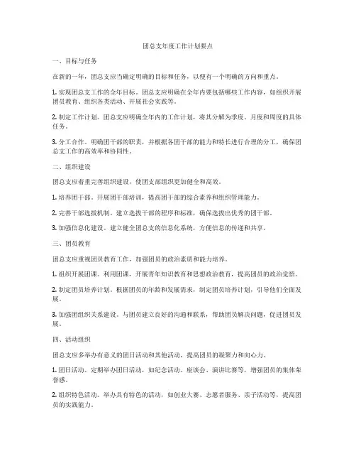 团总支年度工作计划要点