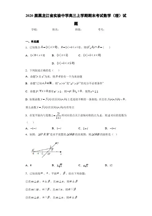 2021届黑龙江省实验中学高三上学期期末考试数学(理)试题