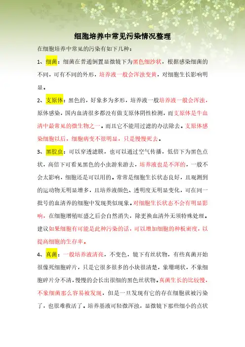 细胞培养中常见污染情况整理