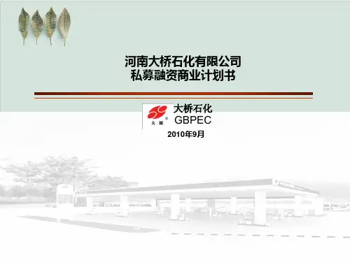 河南大桥石化有限公司私募融资商业计划书PPT课件(49页)
