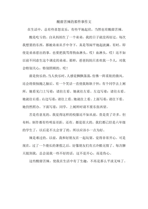 酸甜苦辣的那件事作文