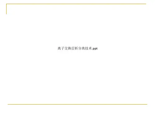 离子交换层析分离技术.ppt