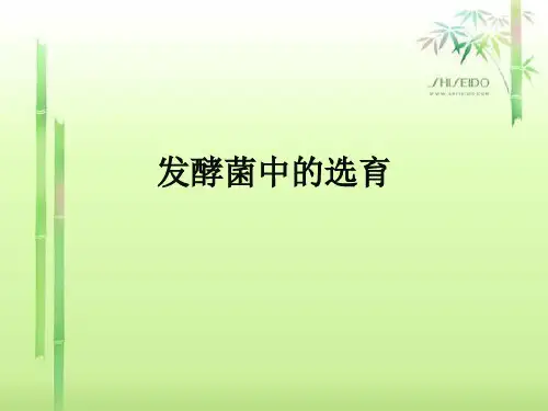 发酵菌种的选育