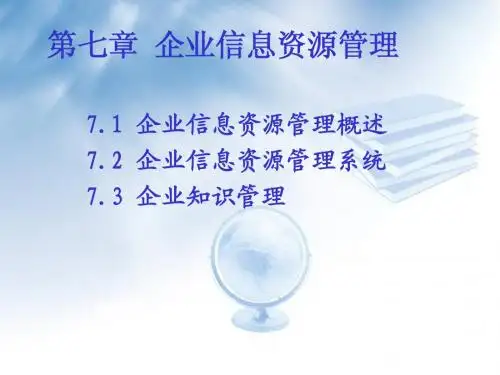 第7章 企业信息资源管理