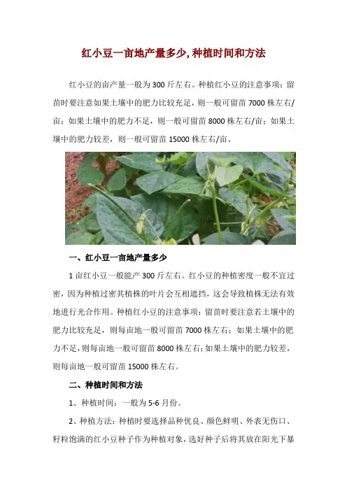 红小豆一亩地产量多少,种植时间和方法