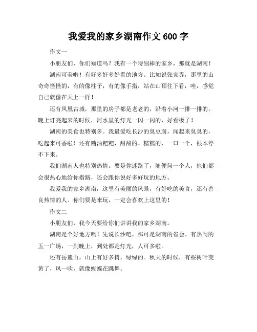 我爱我的家乡湖南作文600字