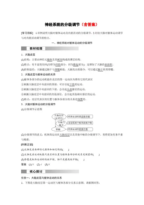 高中生物(选择性必修第一册 人教版)教案讲义：神经系统的分级调节含答案