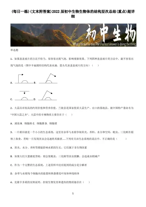 (文末附答案)2022届初中生物生物体的结构层次总结(重点)超详细