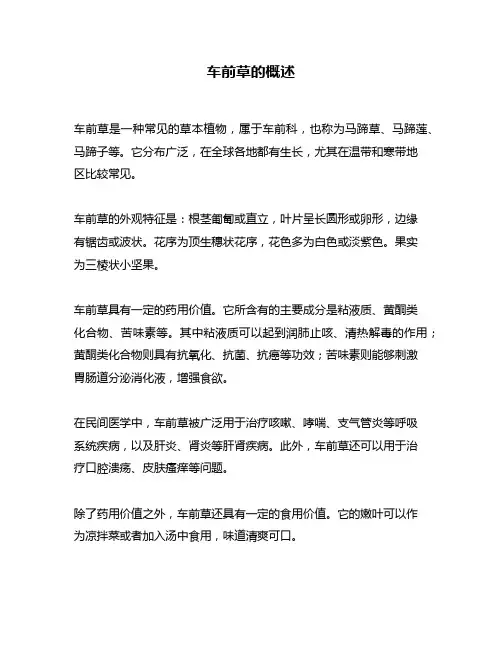 车前草的概述