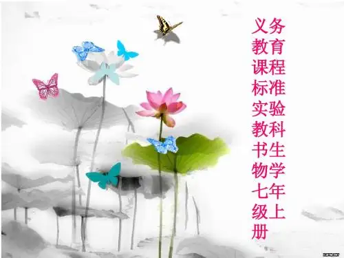 动物体的结构层次
