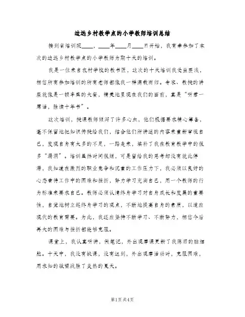边远乡村教学点的小学教师培训总结（2篇）