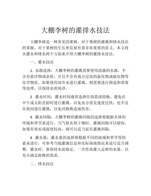 大棚李树的灌排水技法