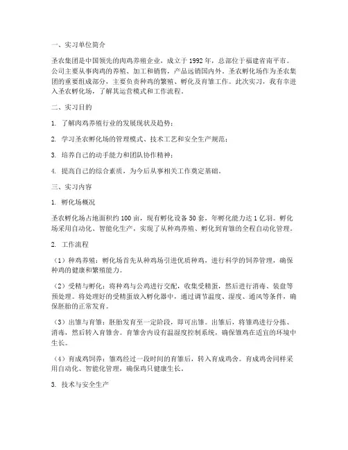 圣农孵化场实习报告