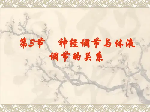 神经调节上课课件PPT1