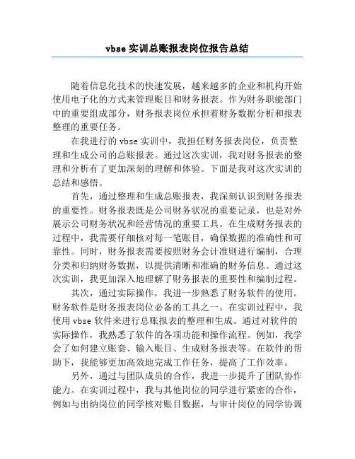 vbse实训总账报表岗位报告总结