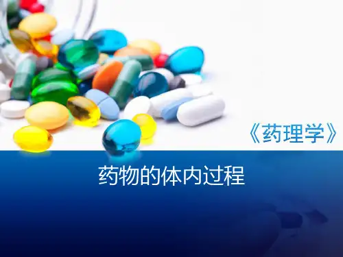 给药途径吸收速度