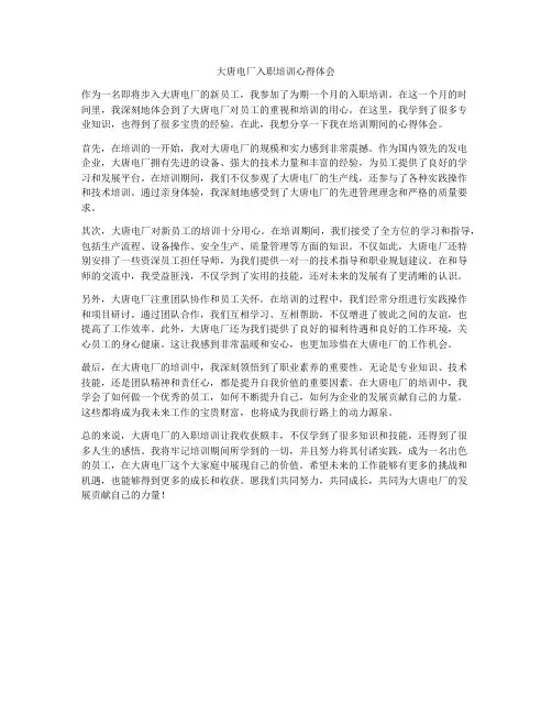 大唐电厂入职培训心得体会