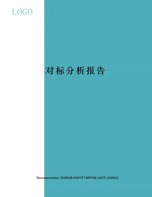 对标分析报告