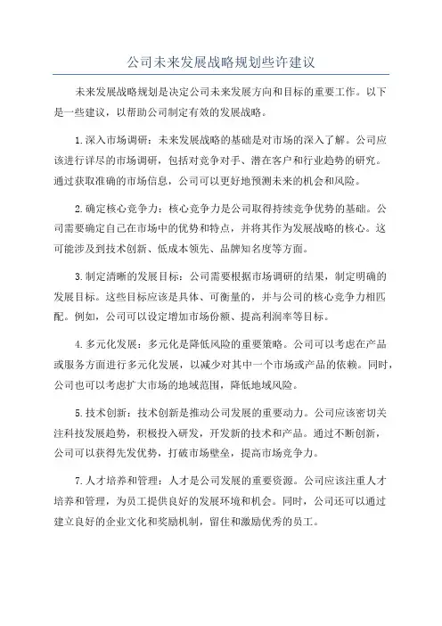公司未来发展战略规划些许建议