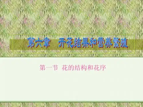 花的结构和花序