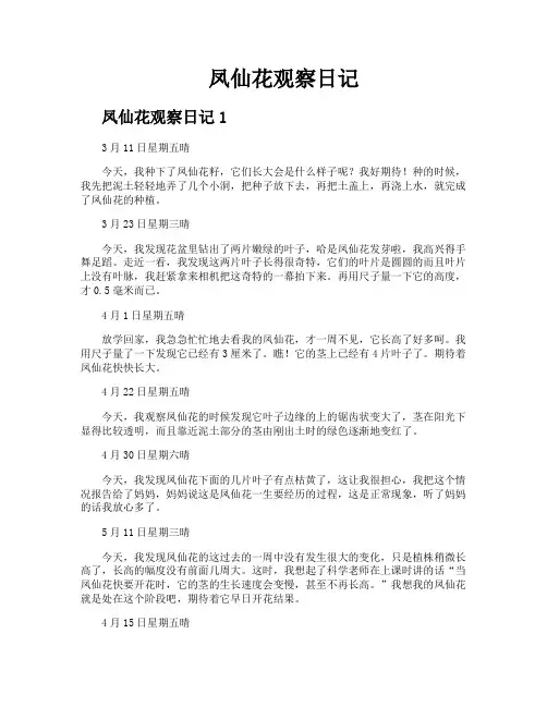 凤仙花观察日记