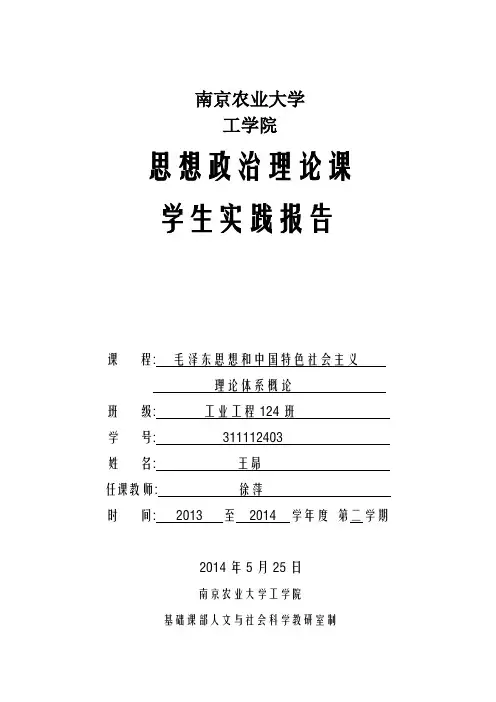毛概实践报告()