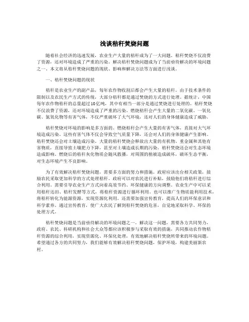 浅谈秸秆焚烧问题