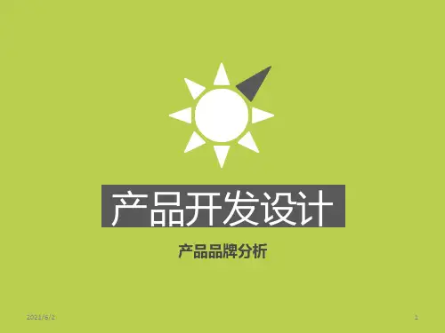 《新产品开发案例》课件