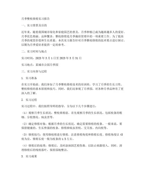 月季整枝修剪实习报告