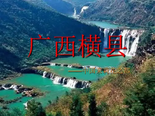 广西横县