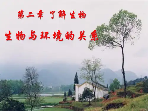 初中生物人教版七年级上第一单元 生物和生物圈第二章 了解生物圈第一节生物与环境的关系课件