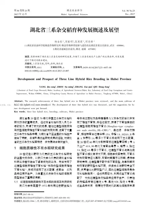 湖北省三系杂交稻育种发展概述及展望