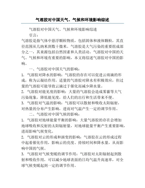 气溶胶对中国天气、气候和环境影响综述