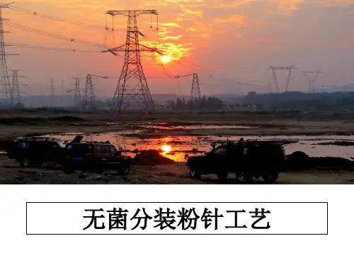 无菌分装粉针工艺