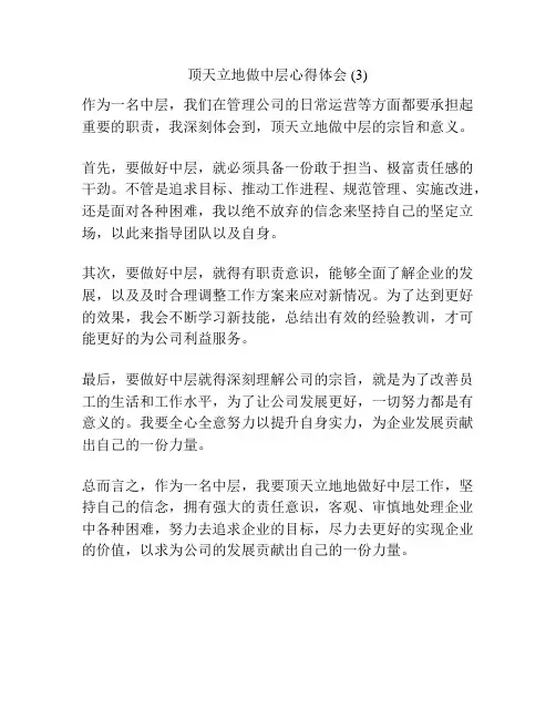 顶天立地做中层心得体会 (3)